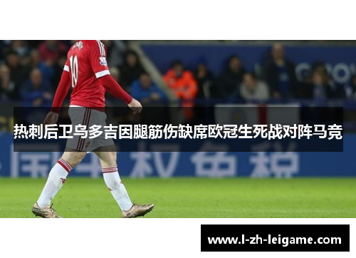 热刺后卫乌多吉因腿筋伤缺席欧冠生死战对阵马竞 热刺后卫乌多吉因腿筋伤缺席欧冠生死战对阵马竞